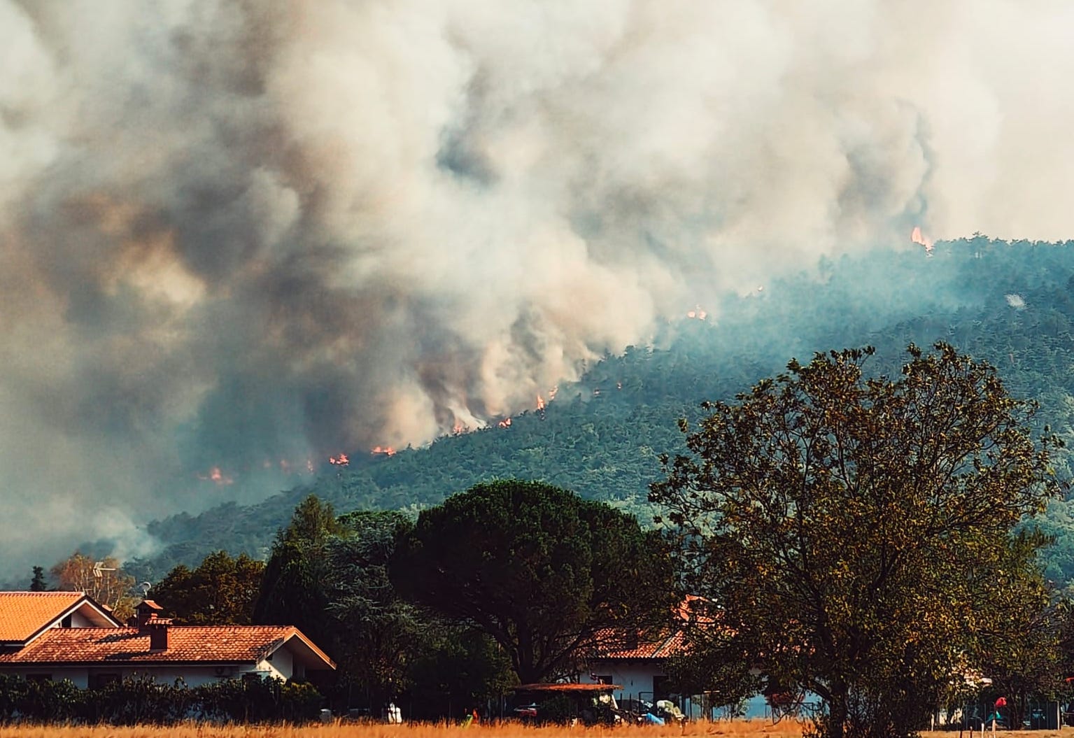 Immagine per Carso, «ore decisive contro l'incendio». Il fumo minaccia Savogna